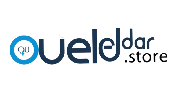 Leonardo Phoenix 09 Create a modern and stylish logo for Oueld 0